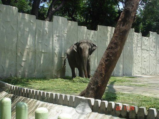 Jardín botánico y Zoológico de Manila